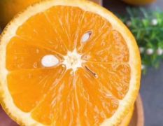 夏橙 密奈夏橙 中华红血橙 伦晚春橙 产地一手货源批发 质优价廉