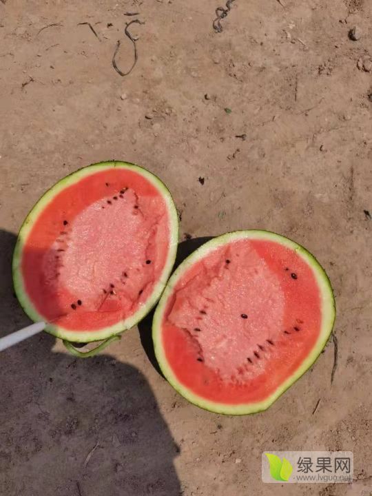 甜王系列价格