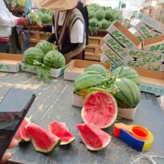 产地直供精品 美都 8424