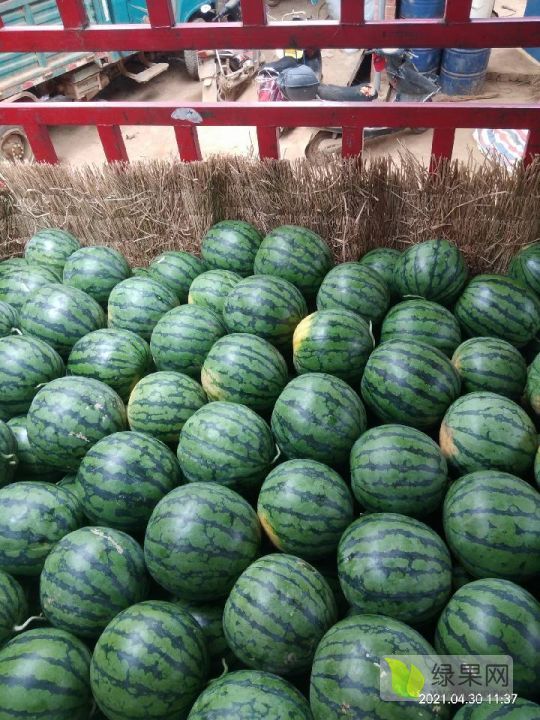 甜王系列价格