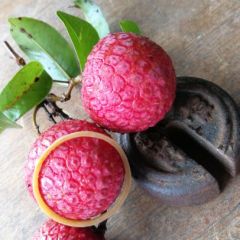 高州荔枝代办代购