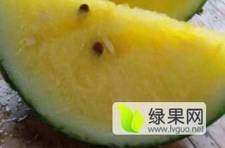 小西瓜，礼品西瓜，