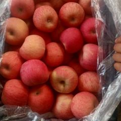 大量供应落川纸袋红富士苹果