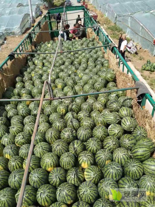 华欣一号价格