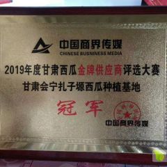 扎子塬村万亩旱砂砂地西瓜