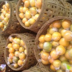 大量供应广西沃柑，果皮光滑，色泽鲜亮，硬度好