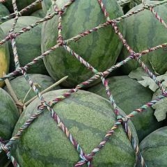 美都，龙卷风，8424