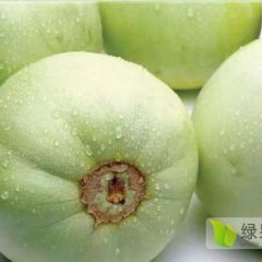 广西南宁市供应香瓜