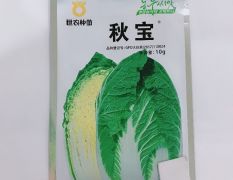 韩国世农秋宝大白菜种子正品