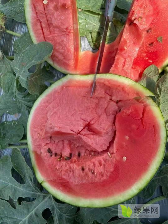 花皮无籽价格