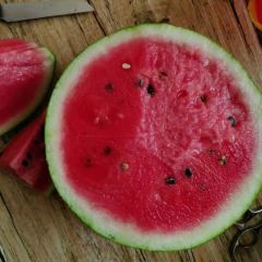 美都，8424，大量供应，沙地西瓜