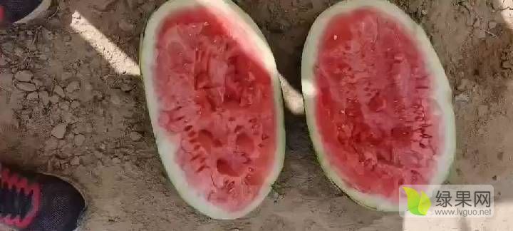 硒砂瓜价格