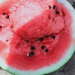 吉林白城西瓜大量上市,产地直供,可视频看货,我在产地,代发全国。