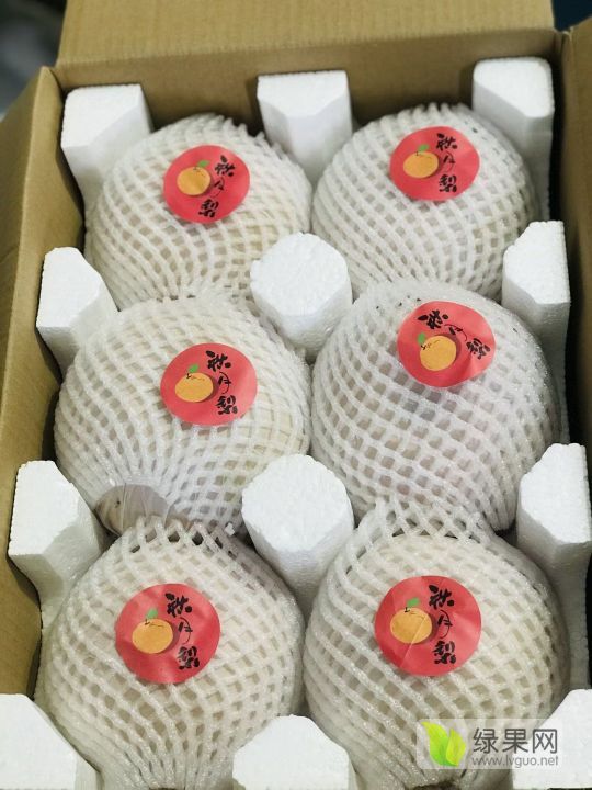 2023年山东莱西秋月梨价格