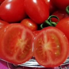 产自山东省青岛市平度市明村镇釜山88圣女果