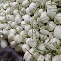 玉菇大量上市中，保证质量，有需要的联系我