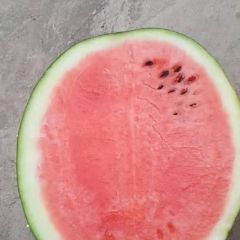 无籽美都西瓜大量现货供应