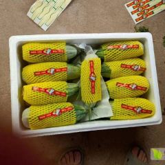 羊角蜜大量上市，有需要的客户联系我。