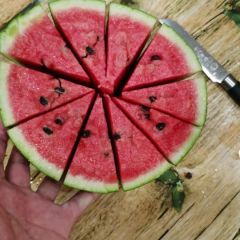 开封沙瓤西瓜产地直供