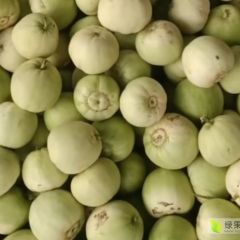 大量甜宝陆续上市，头茬货好，产地一条龙服务