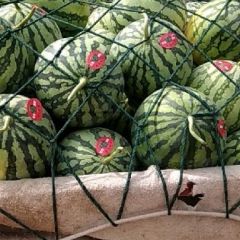 精品美都 8424 欢迎选购