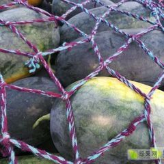 太康县优质黑美人西瓜大量上市中，物美价廉，欢迎惠顾。