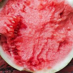 宝鸡甘肃无籽精品美嘟