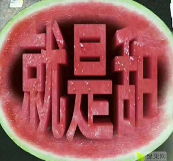 金城5号价格