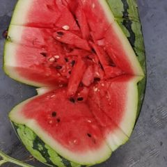 夏邑冠龙大量上市了！万亩基地！