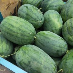 一手货源大量上市龙卷风