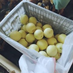 河北皇冠梨赵县皇冠梨产地