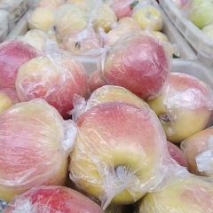 冠县嘎啦苹果产地/现已陆续采摘上市