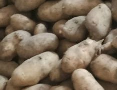 自己家种的土豆，新鲜的，有要的吗