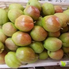 富硒香梨 产地直发 让农村连接世界