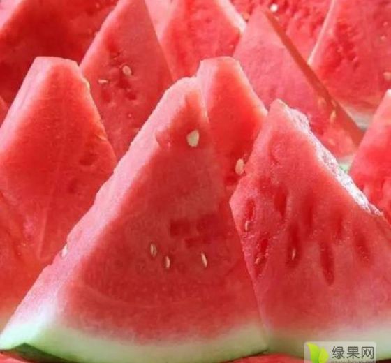 2016年山东牡丹京欣价格