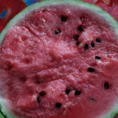 我区优质西瓜乙开始大量上市。