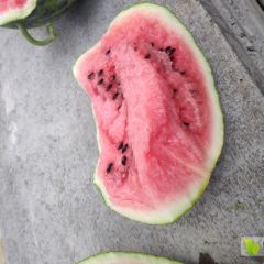 万亩西瓜基地。美都大量上市