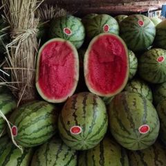 通辽市诚信代办代发辽宁新民，内蒙古通辽西瓜