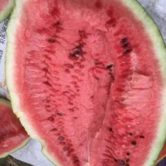 开封甜王西瓜大量供应，欢迎新老客户前来洽谈合作。