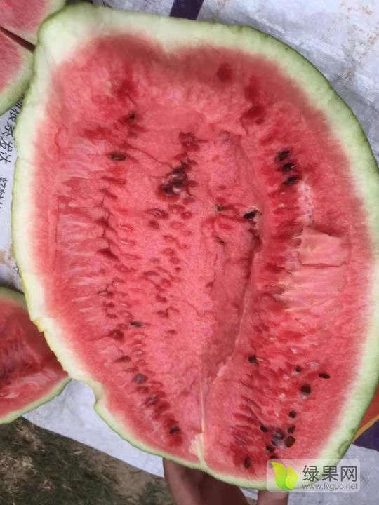 甜王价格