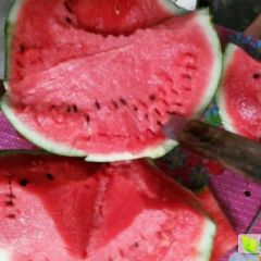 开封市邸阁众信冷库，专业代收西瓜。美都，8424