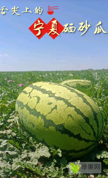 ʯͷɰֲĶ