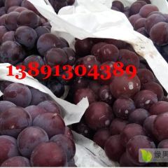 陕西沪太葡萄基地批发，沪太葡萄产地上市价格