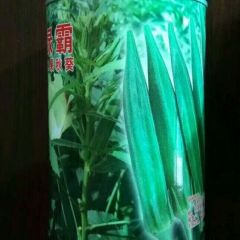 日本原装进口绿霸水果秋葵种子