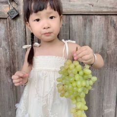 新疆无核白葡萄净果4斤装