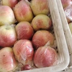 葡萄苹果大量有货