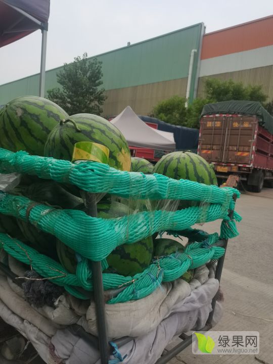 地雷瓜价格