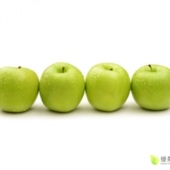 山西运城早熟富士开始上市啦。