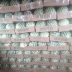 河南金氏瓜果合作社产地直发，诚信经营，保质保量