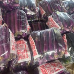 21年河南茄子价格行情 产地 中国河南茄子网 蔬菜商情网